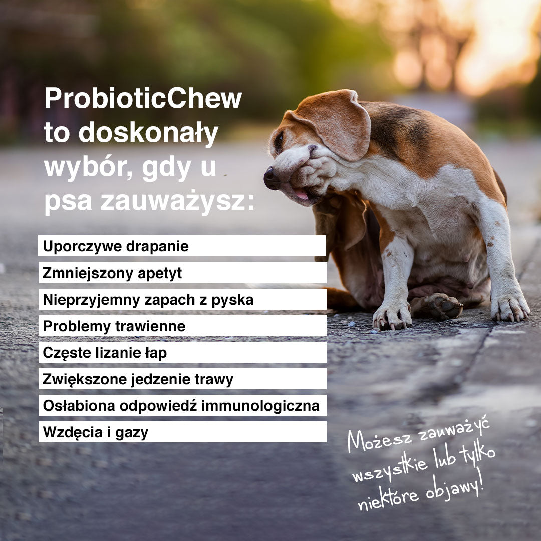 Probiotic Chew