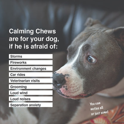 Calming Chew