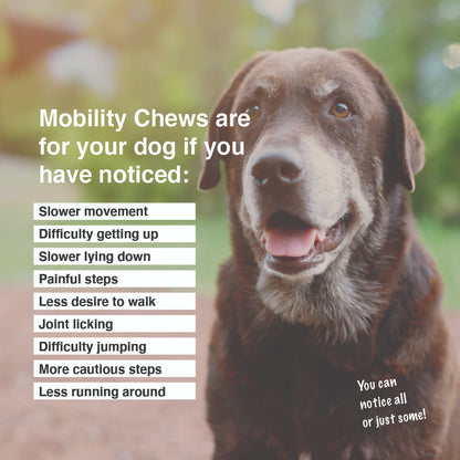 Mobility Chew