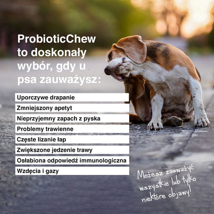 Probiotic Chew