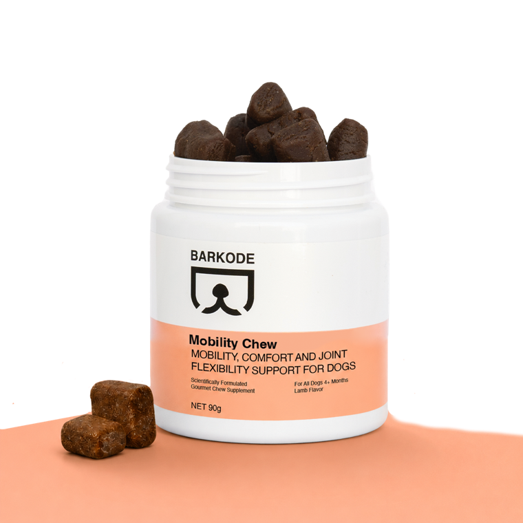 Barkode Mobility Chew