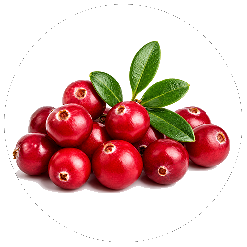 Cynk (chelat)